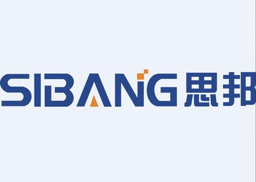 重庆思邦网络股份