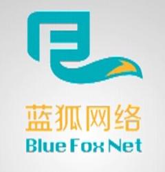 山东蓝狐网络技术