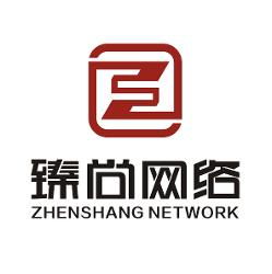 河南臻尚网络科技 数字时代的创新驱动者