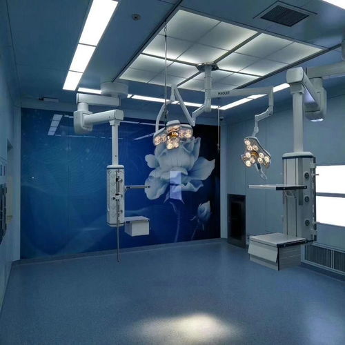 东湖区LG同质透心地板优芮系列 走量合作，共创双赢